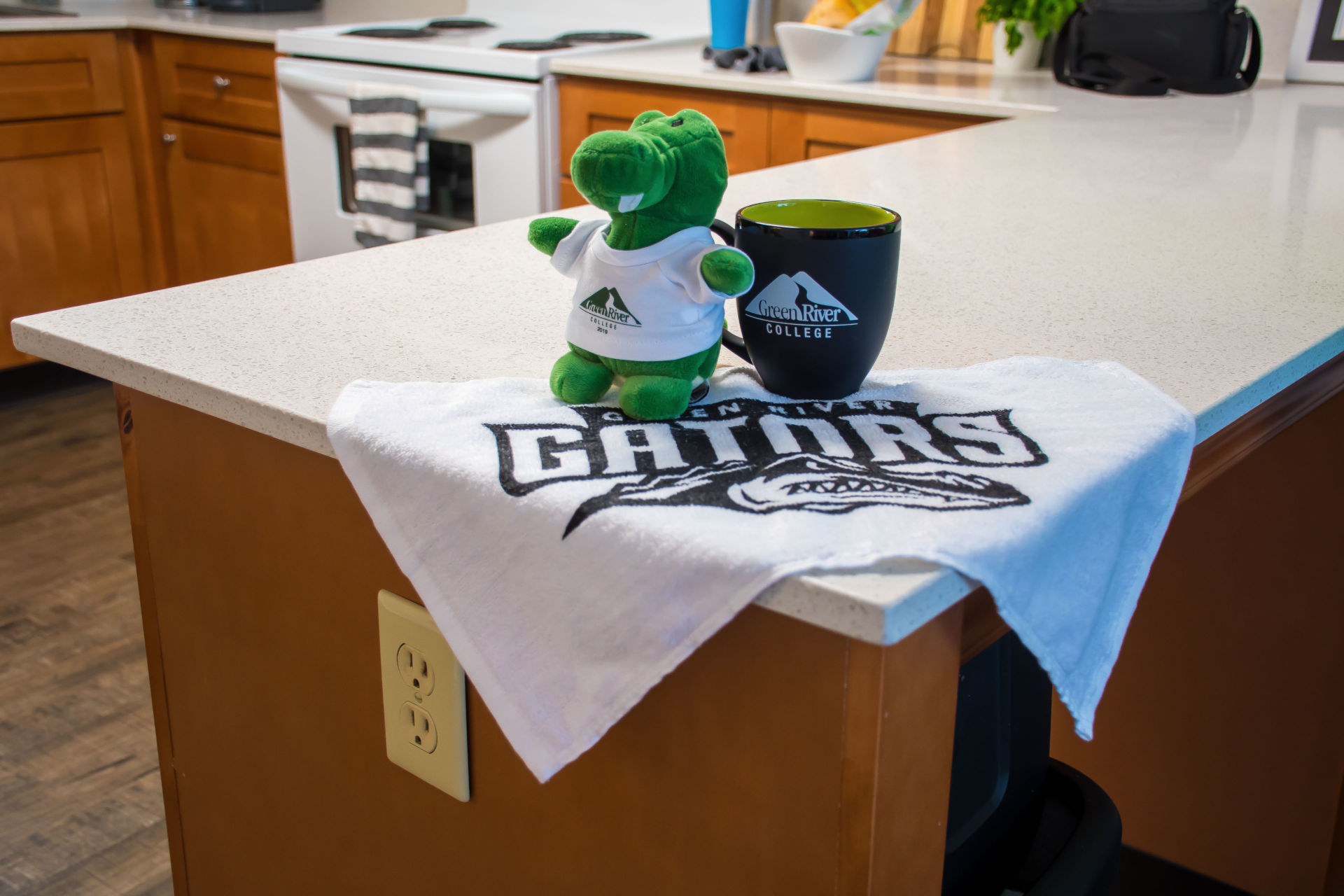 A Green River Gator doll sitting on a kitchen counter inside a Campus Corner Apartments unit