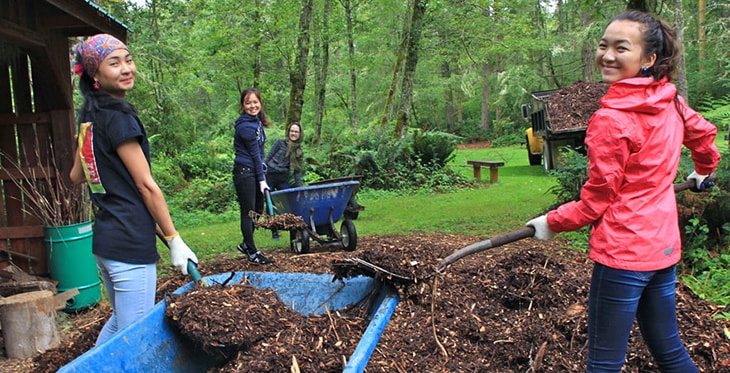 USI participants volunteer by performing habitat restoration at Northwest Trek.