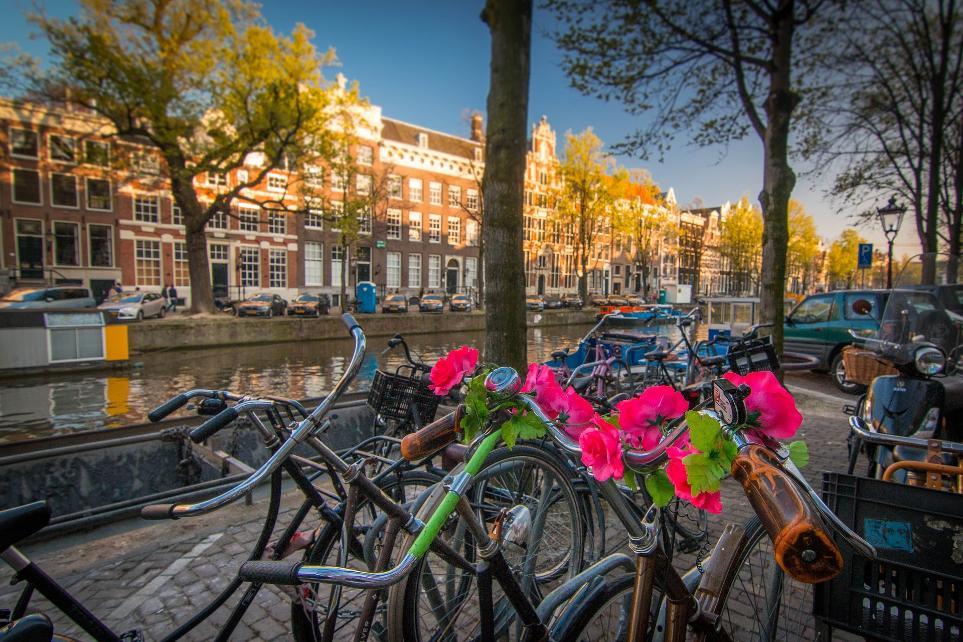 amsterdam-bikes canal flowers horiz.-pixabay