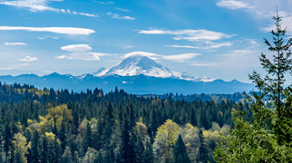 Mt. ranier